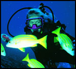 Scuba Diving