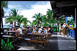 Sharkie's Beach Bar