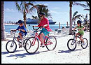 Bicycle Rental